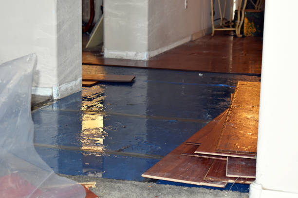 Professional Burst Pipe Cleanup technician working in Graford, TX